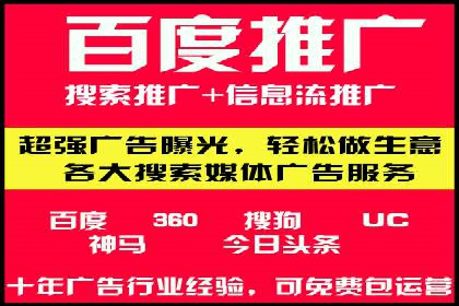 竞价推广公司案例：实战技巧与策略
